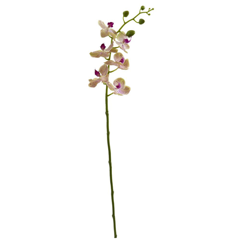 29” Phalaenopsis Orchid Artificial Flower (Set of 4) Default Title