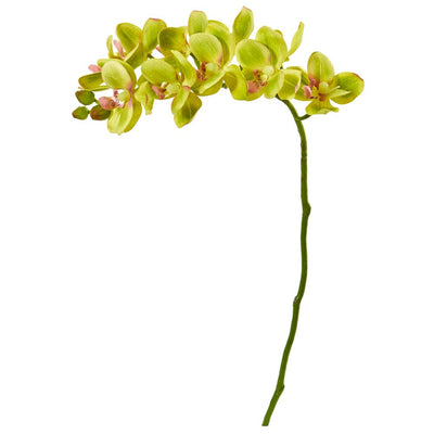 21” Phalaenopsis Orchid Artificial Flower (Set of 6) Default Title