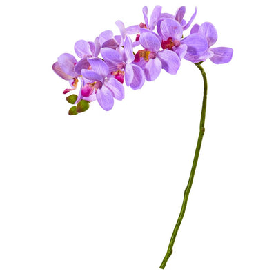 21” Phalaenopsis Orchid Artificial Flower (Set of 6) Default Title