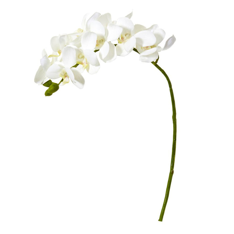 21” Phalaenopsis Orchid Artificial Flower (Set of 6) Default Title