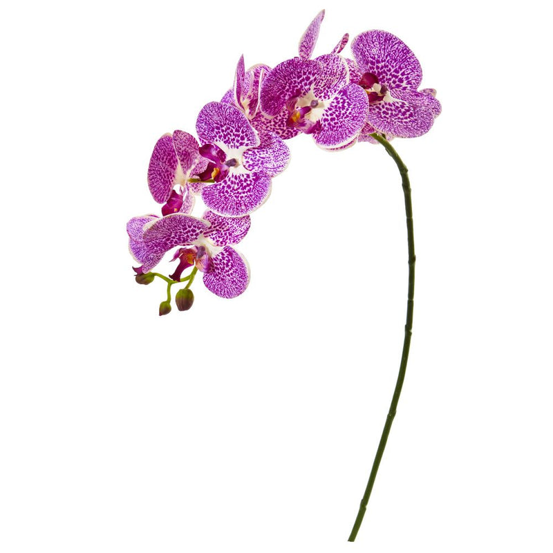 30” Phalaenopsis Orchid Artificial Flower (Set of 6) Default Title