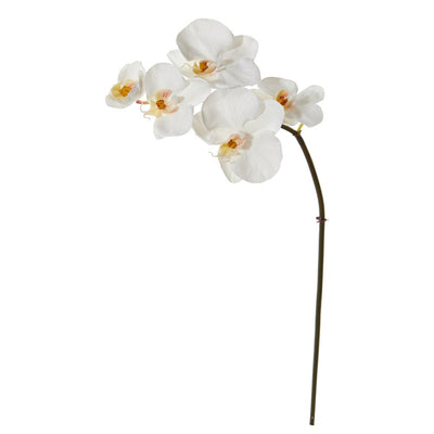 20” Phalaenopsis Orchid Artificial Flower (Set of 12) Default Title