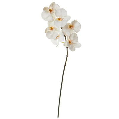 22” Phalaenopsis Orchid Artificial Flower (Set of 12) Default Title