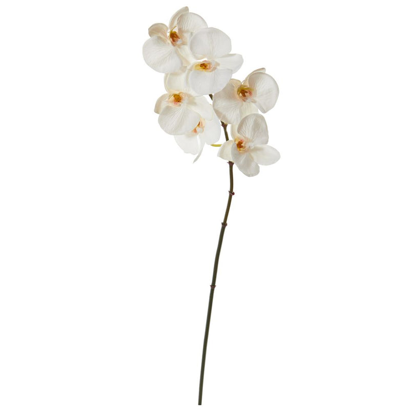 22” Phalaenopsis Orchid Artificial Flower (Set of 12) Default Title