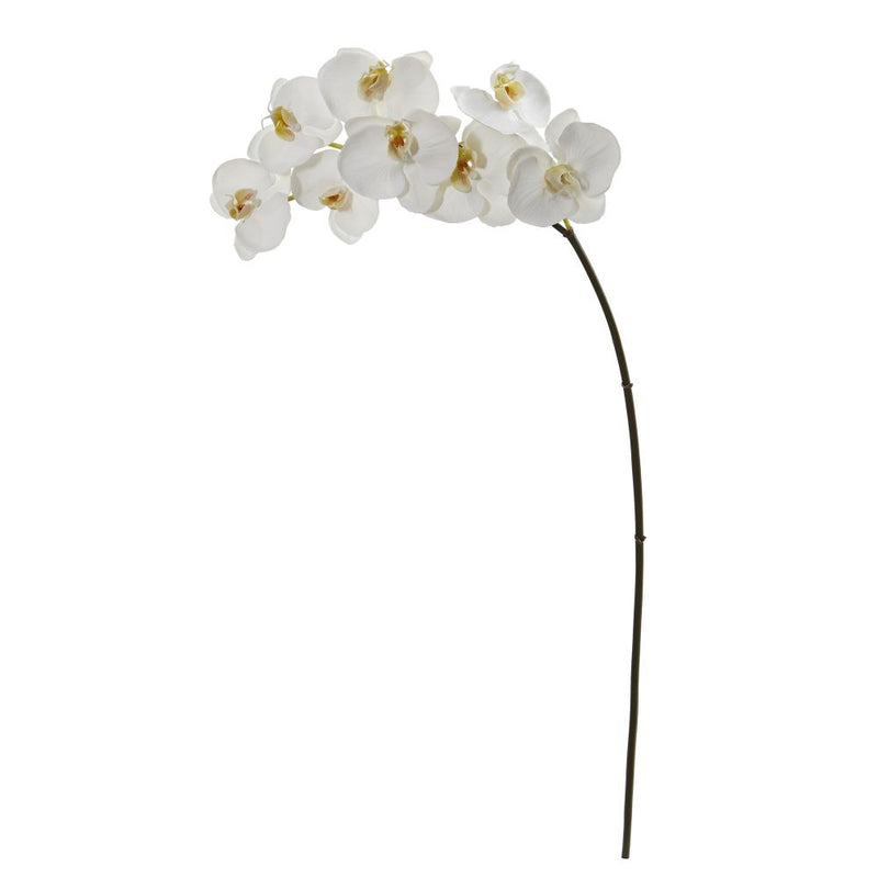 35” Phalaenopsis Orchid Artificial Flower (Set of 6) Default Title