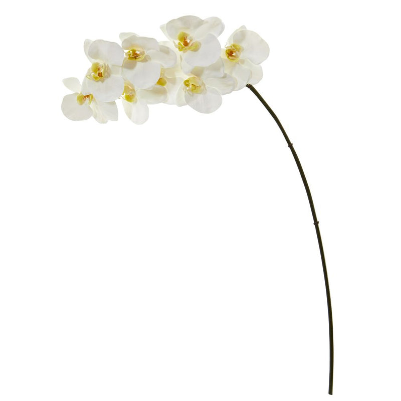 34” Phalaenopsis Orchid Artificial Flower (Set of 6) Default Title