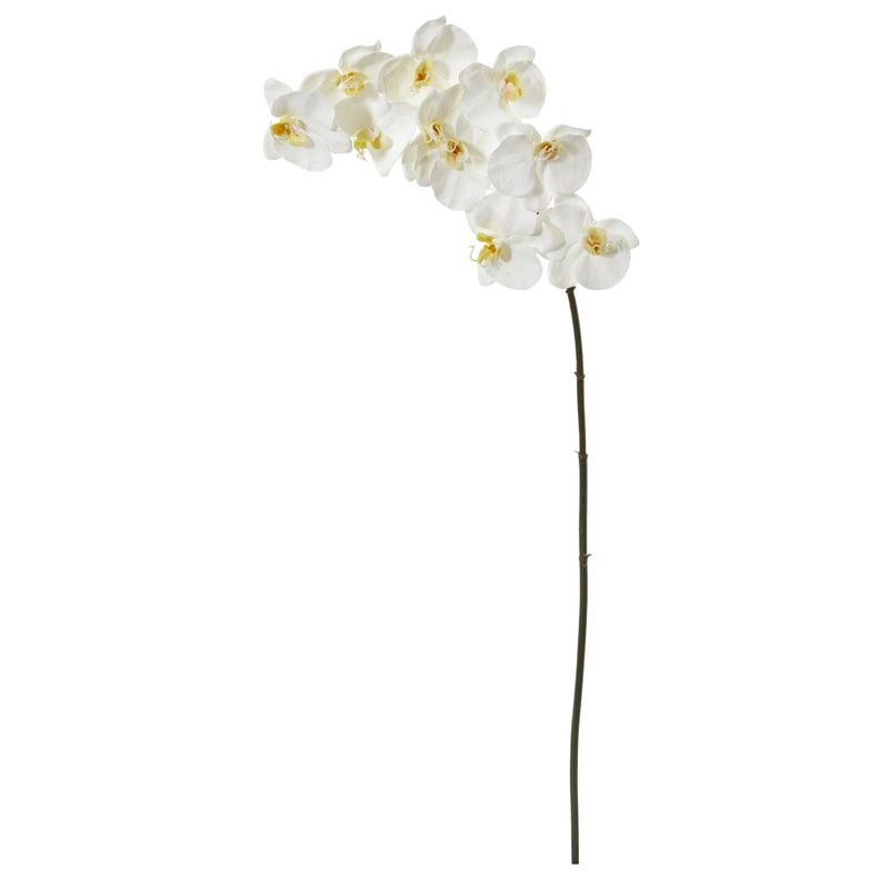 44” Phalaenopsis Orchid Artificial Flower (Set of 6) Default Title