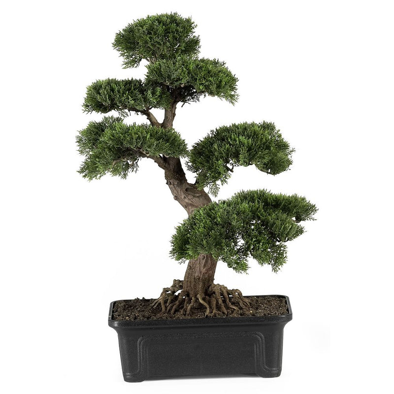 Cedar Bonsai 24" Silk Plant Default Title