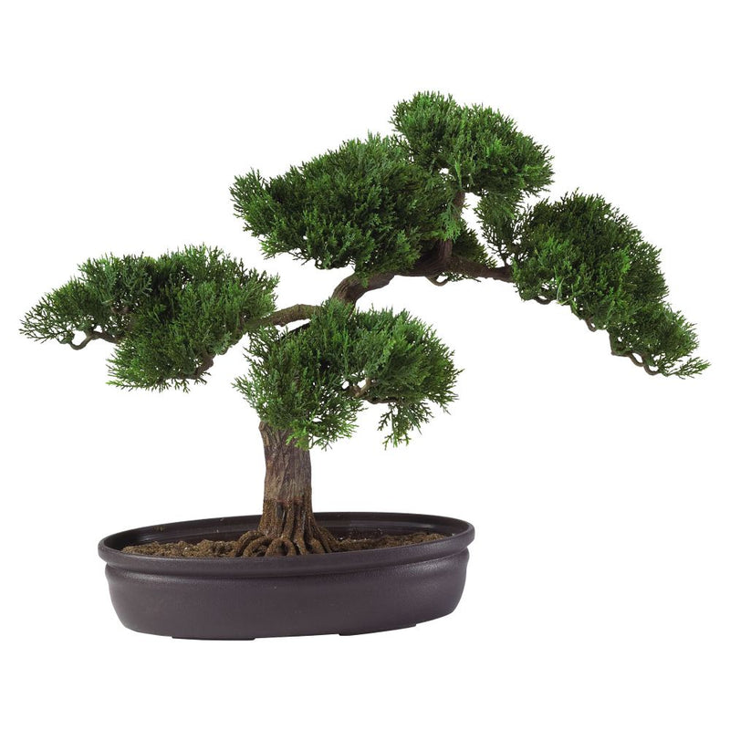 Cedar Bonsai 16" Silk Plant Default Title