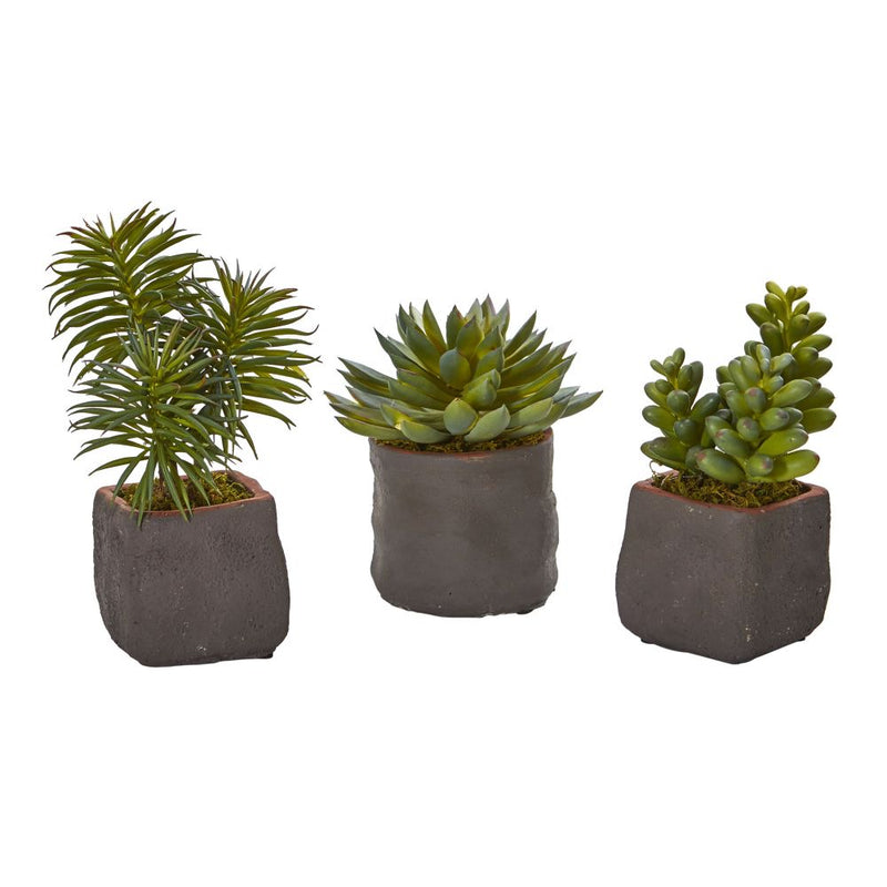 Mixed Succulent Trio Artificial Plant (Set of 3) Default Title