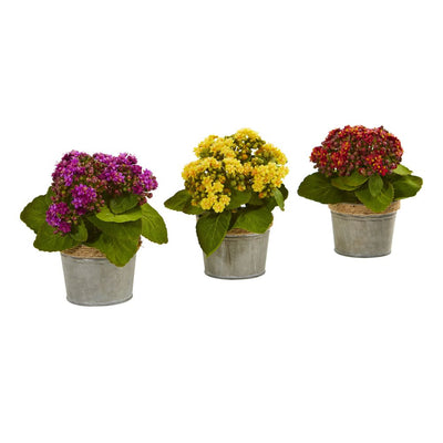 Kalanchoe Artificial Arrangements (Set of 3) Default Title