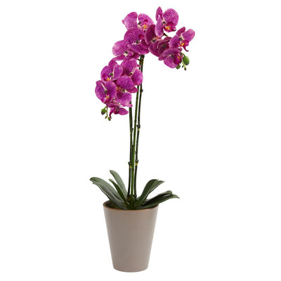 24" Speckled Phalaenopsis Orchid Artificial Arrangement Default Title