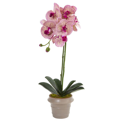 20" Designer Phalaenopsis Orchid Artificial Arrangement Default Title