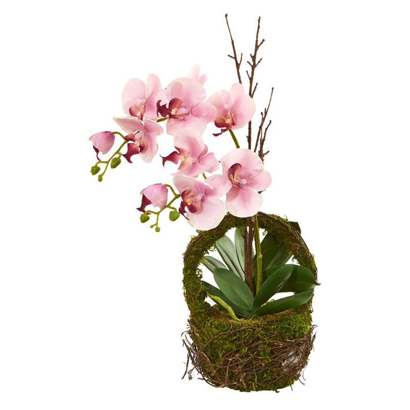 Phalaenopsis Orchid Artificial Arrangement in Twig Basket Default Title