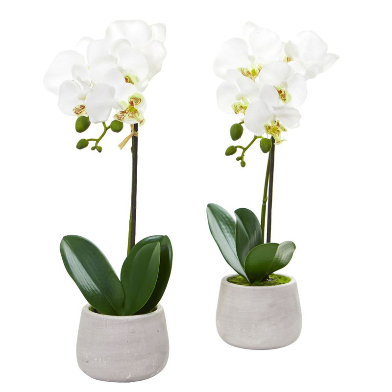 Phalaenopsis Orchid Artificial Arrangement (Set of 2) Default Title