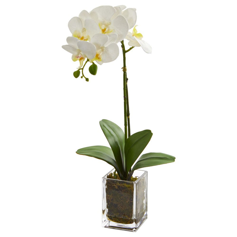 24” Orchid Phalaenopsis Artificial Arrangement in Vase Default Title