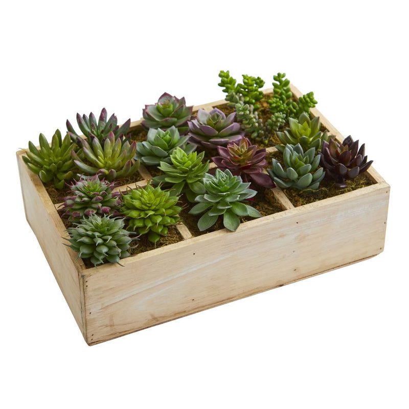 12” Mixed Succulent Garden in Tray Artificial Plant Default Title