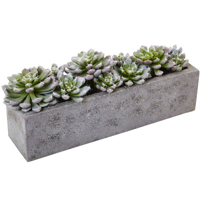 Succulent Garden w/Textured Concrete Planter Default Title