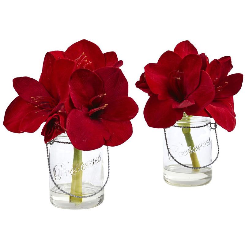 Amaryllis in Glass Vase (Set of 2) Default Title