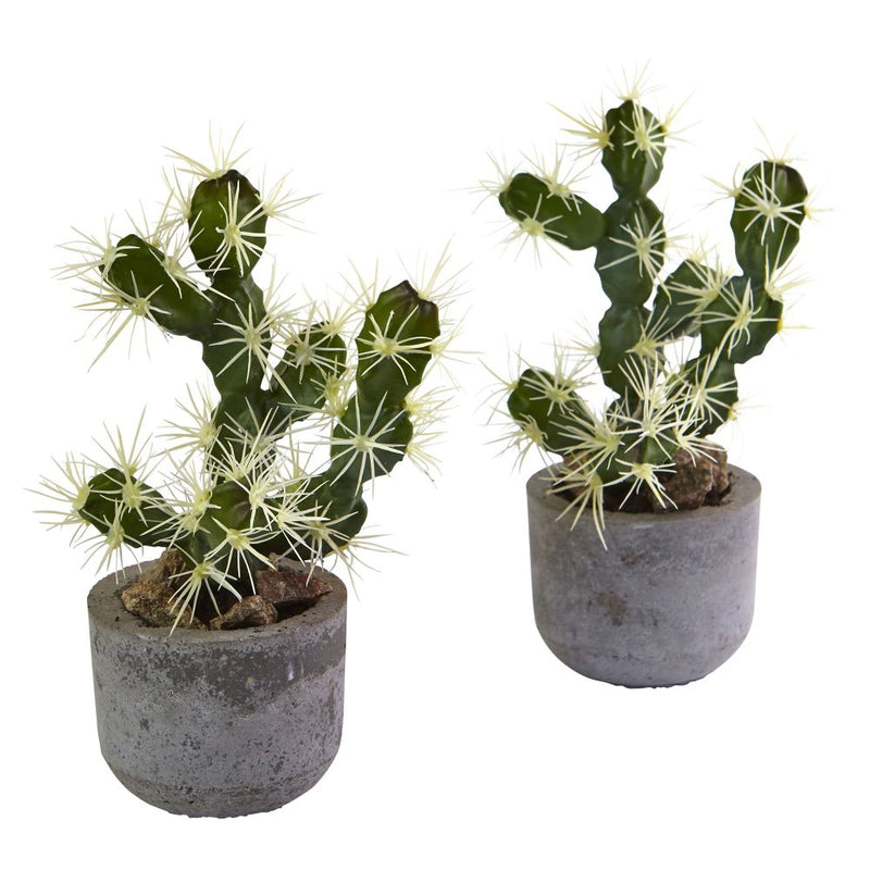 Cactus Potted (Set of 2) Default Title