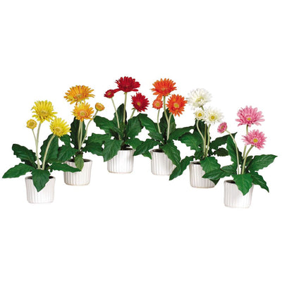 Gerber Daisy w/White Vase (Set of 6) Default Title