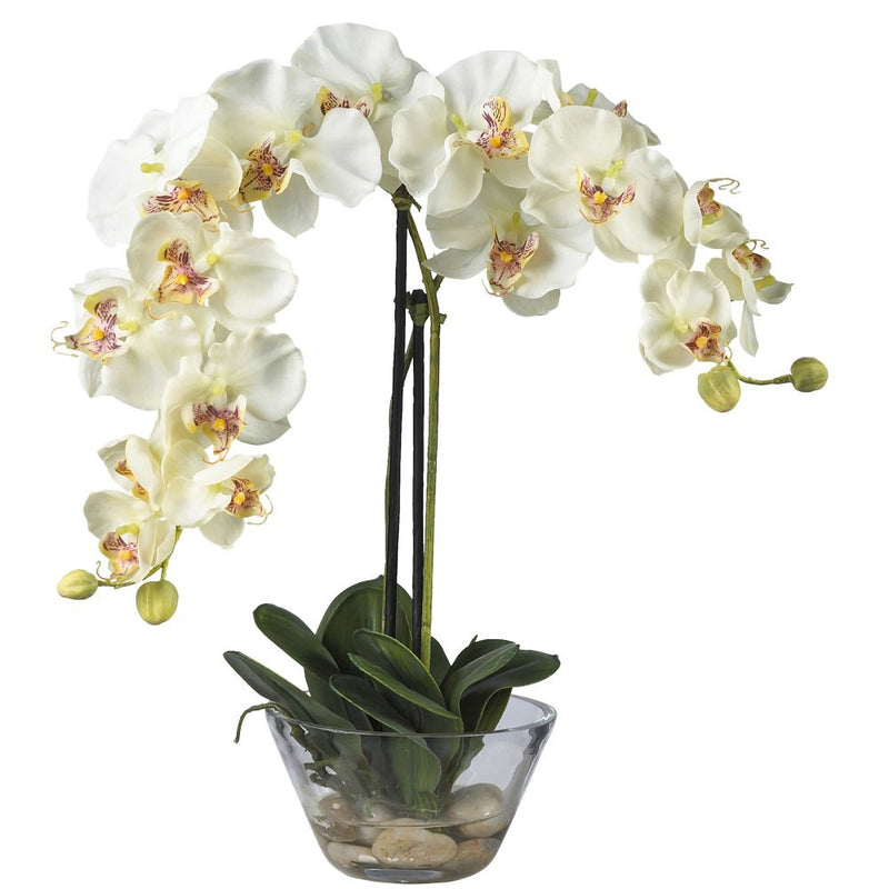 Phalaenopsis w/Glass Vase Silk Flower Arrangement Default Title