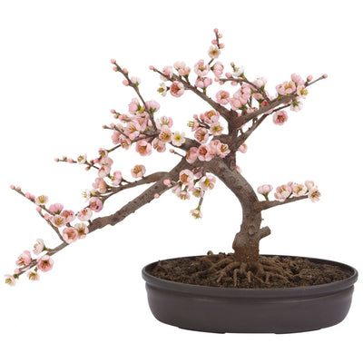 Cherry Blossom Bonsai Silk Tree Default Title