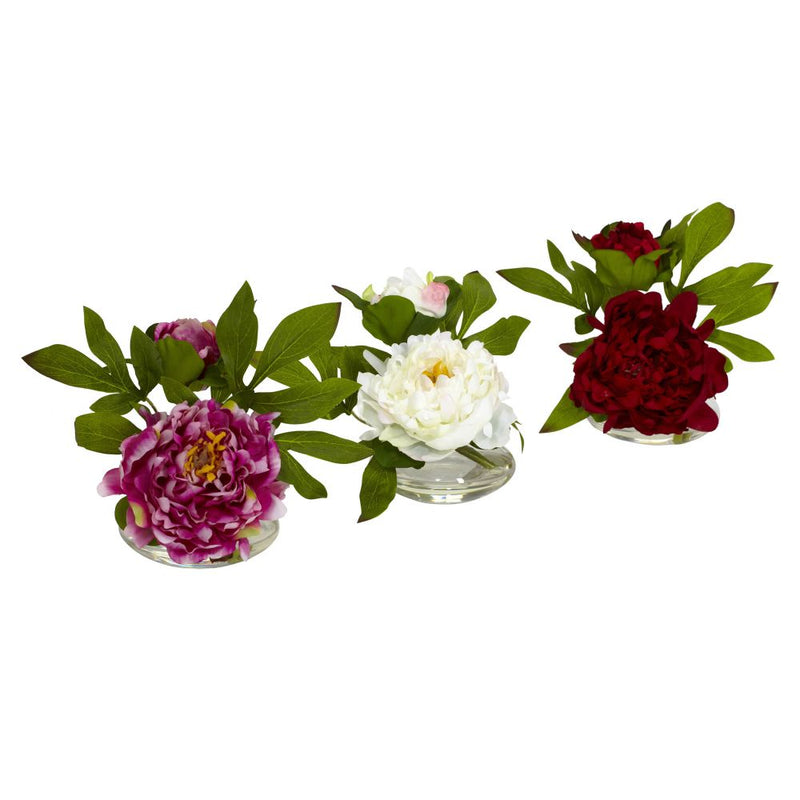 Peony w/Glass Vase (Set of 3) Default Title