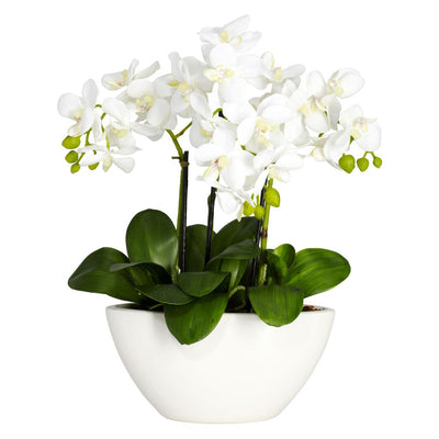 Phalaenopsis Silk Flower Arrangement Default Title