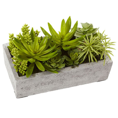 Succulent Garden w/Concrete Planter Default Title