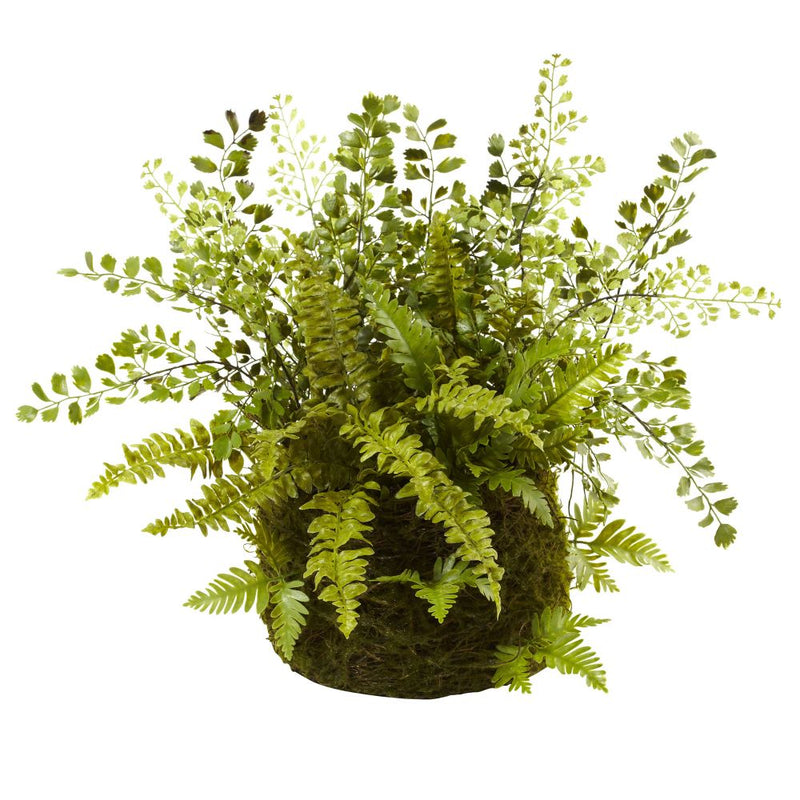 Mixed Fern w/Twig and Moss Basket Default Title