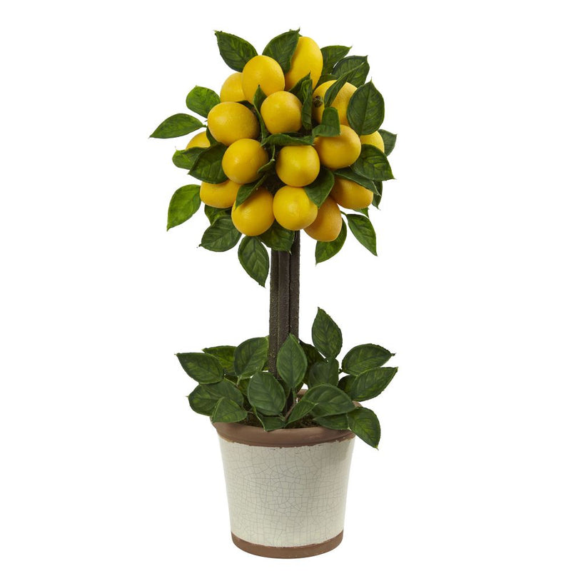 Lemon Ball Topiary Arrangement Default Title