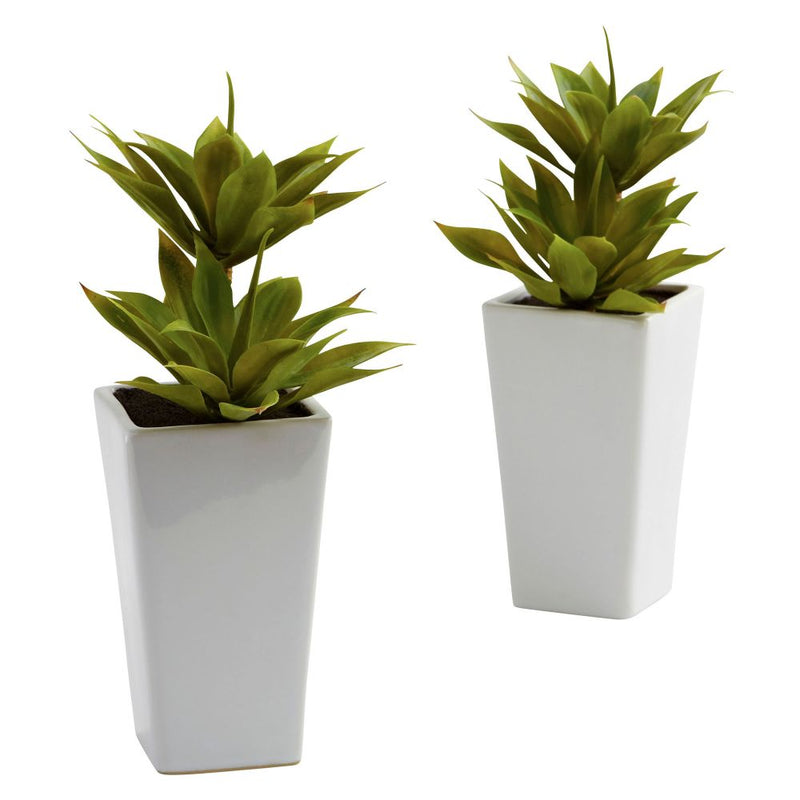 Double Mini Agave w/Planter (Set of 2) Default Title