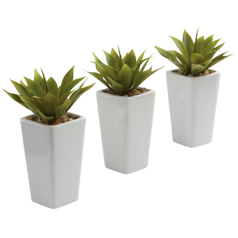 Mini Agave w/ Planter (Set of 3) White Default Title