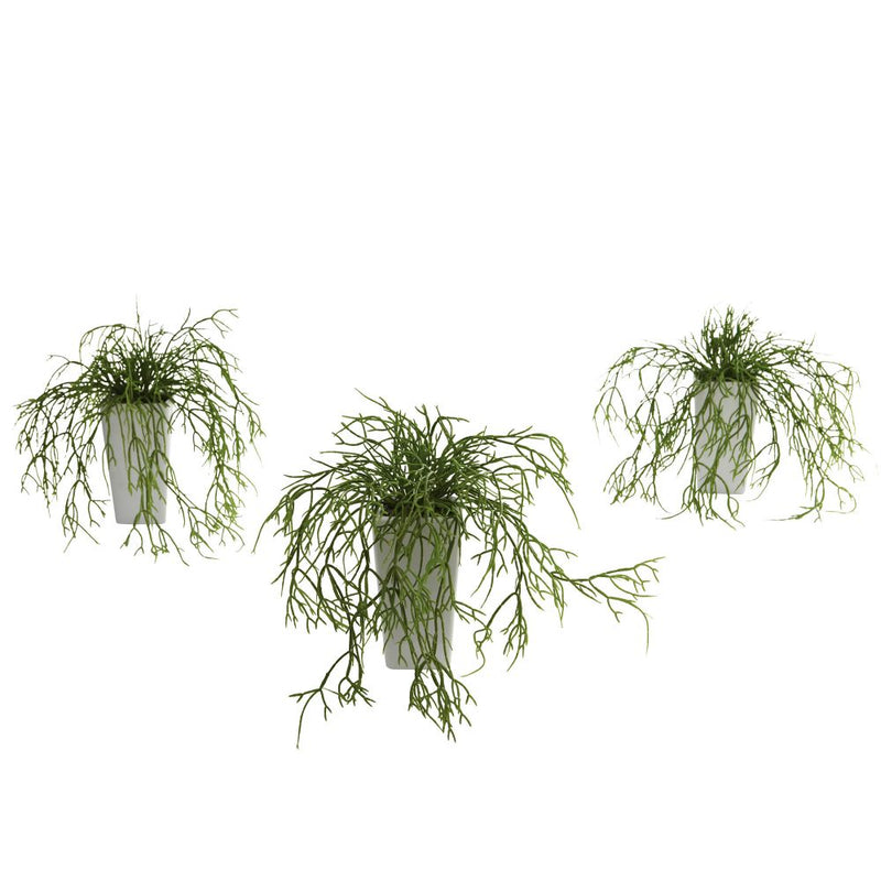 Wild Grass w/White Vase (Set of 3) Default Title