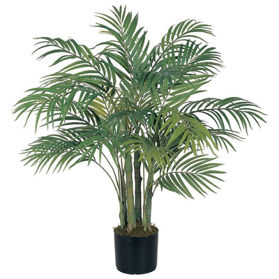 3' Areca Silk Palm Tree Default Title