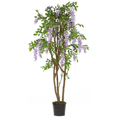 5' Wisteria Silk Tree Default Title