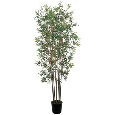 6' Mini Bamboo Silk Tree Default Title