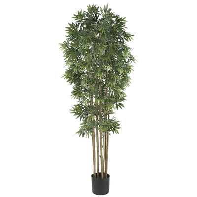 6' Bamboo Japanica Silk Tree Default Title