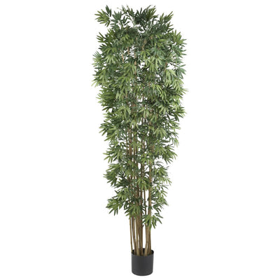 7' Bamboo Japanica Silk Tree Default Title