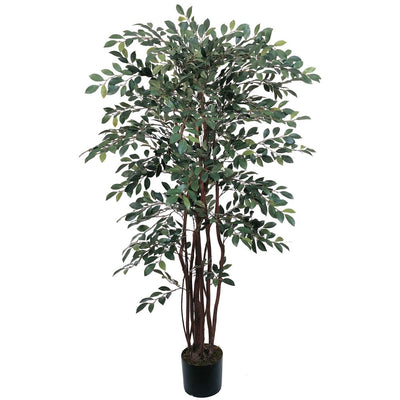 4' Ruscus Silk Tree Default Title