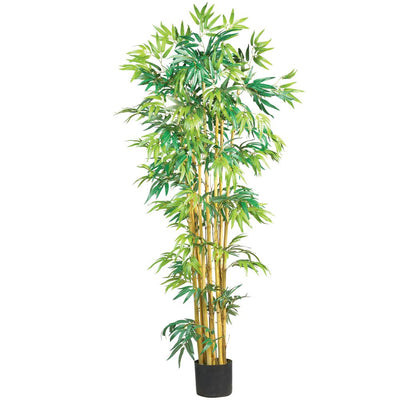 5' Multi Bambusa Bamboo Silk Tree Default Title