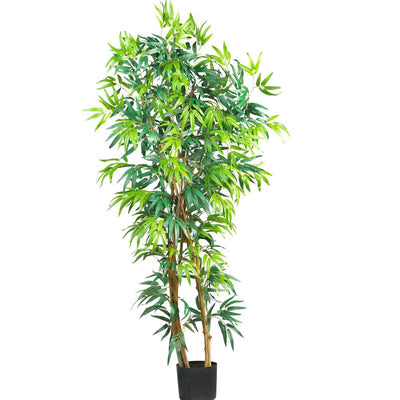 5' Fancy Style Bamboo Silk Tree Default Title