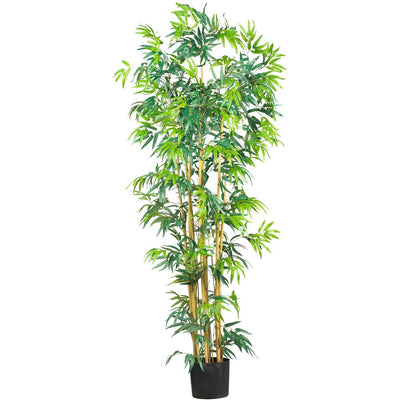 6' Multi Bambusa Bamboo Silk Tree Default Title