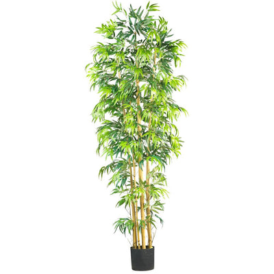 7' Multi Bambusa Bamboo Silk Tree Default Title