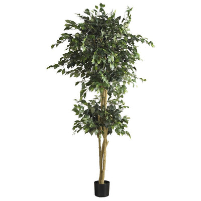 6' Double Ball Ficus Silk Tree Default Title