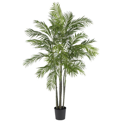 6' Areca Palm Silk Tree Default Title