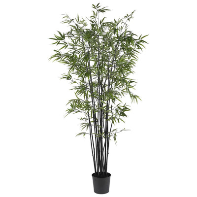 6.5' Black Bamboo Silk Tree Default Title