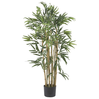 3' Multi Bambusa Bamboo Silk Tree Default Title