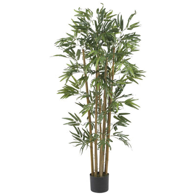 4' Multi Bambusa Bamboo Silk Tree Default Title